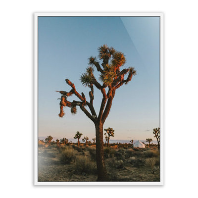 Camp Print by Wesley And Emma Teague