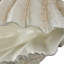 Figurine / sculpture Brookeville