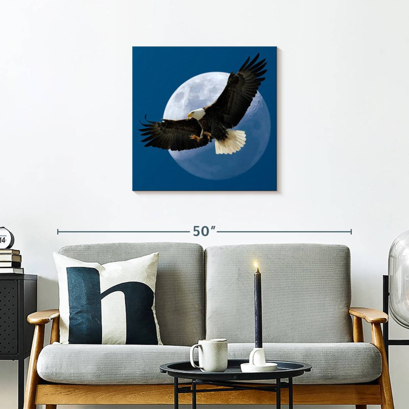 Crowle Midnight Bald Eagle, 24" H x 24" W