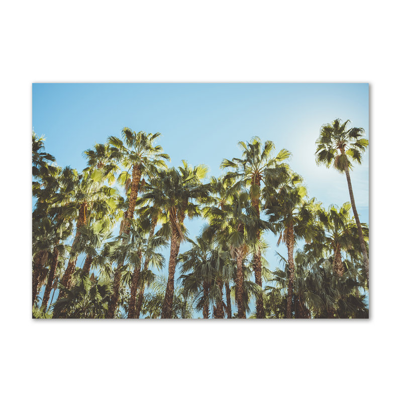 High Palm Trees - Print, 70cm H x 100cm W x 2cm D, Canvas