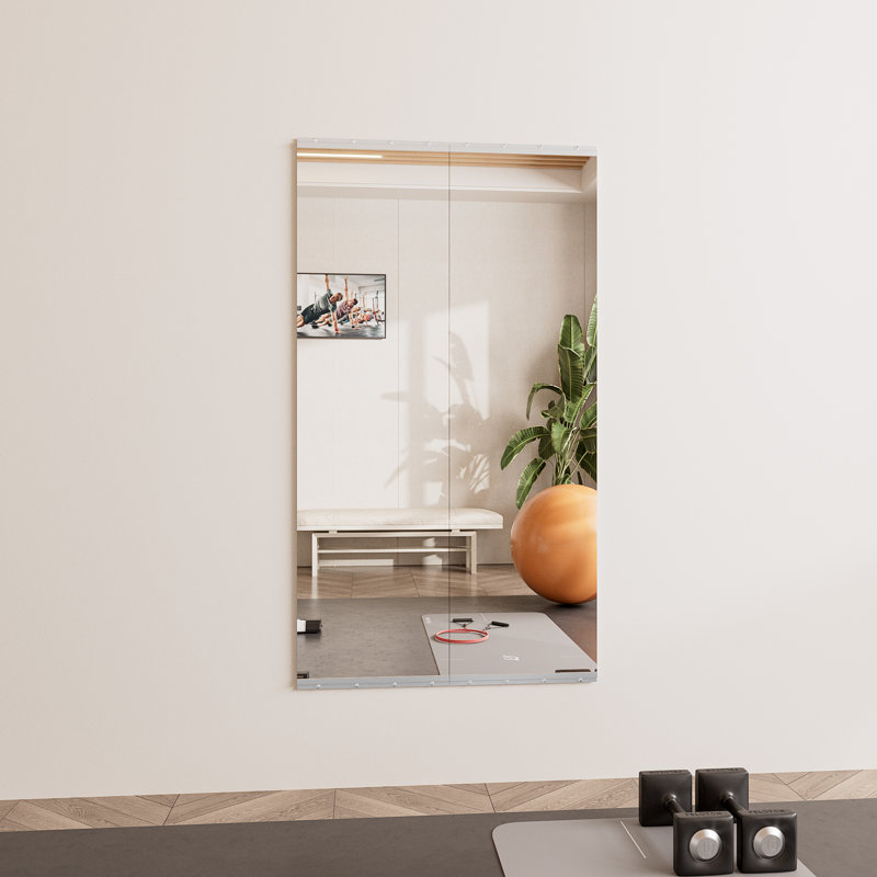 Rectangle Full Length Wall Mirror Set Home Gym Mirror Tempered Glass Mirror, 56" x 16", 1