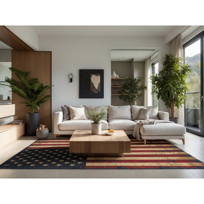 Soft Plush Feeney July 4Th Modern & Contemporary Abstract Area Rug in Brown – Navy Binding
