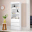 Ikin 180 cm H x 60 cm W Standard Bookcase-38456876