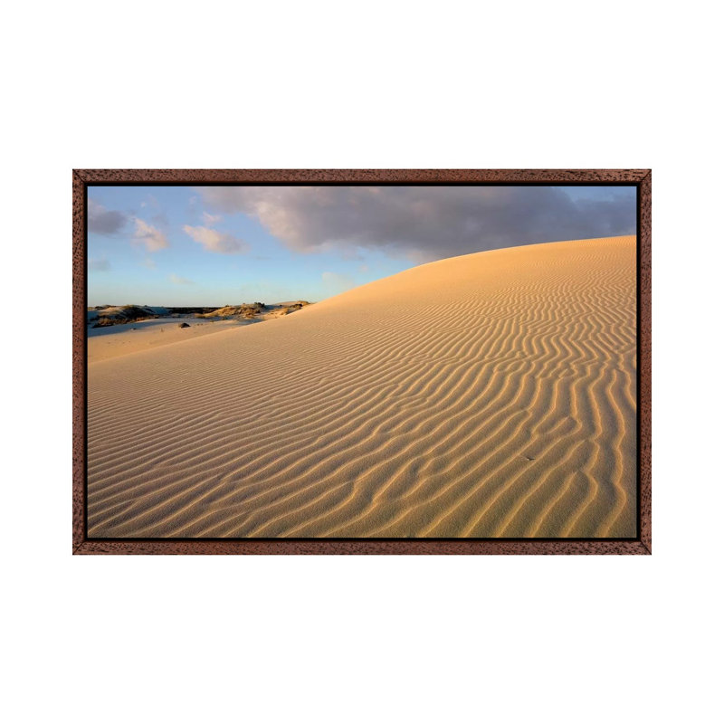 Sand Dune, Monahans Sandhills State Park, Texas 1 Piece Wall Art on Canvas, 66.04 cm H x 45.72 cm W, Classic Wood Framed
