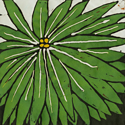 Planta vert 8