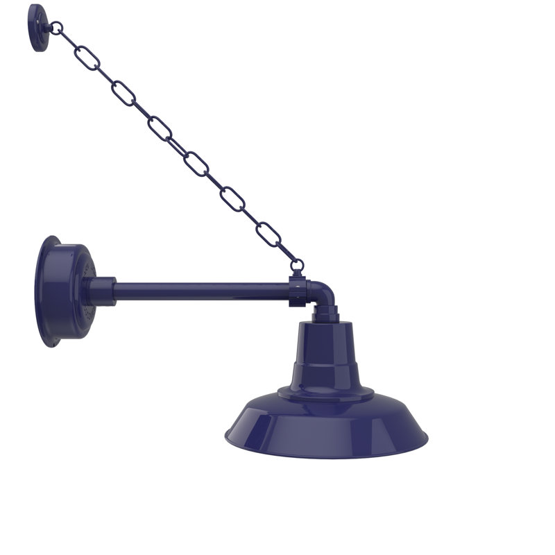 Luminaire de grange d'extérieur à DEL Haleigh, H 13 po x l 12 po x P 23 po, Bleu de cobalt