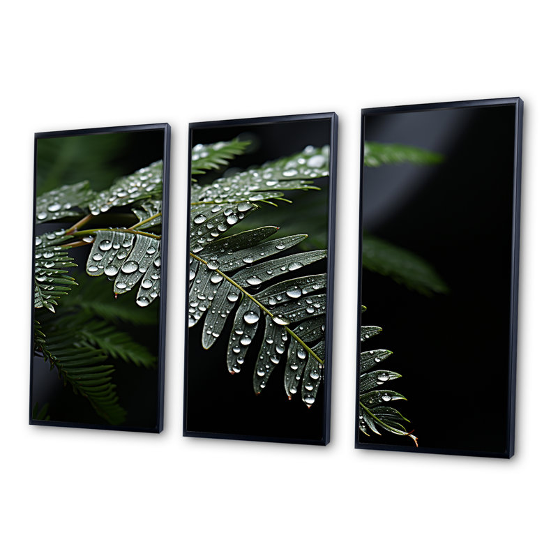 Ferns Charm In Winter - Ferns, ensemble d'art sur toile, Cadre flottant noir, H 28 po x l 36 po x P 1 po