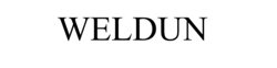 Logo WELDUN