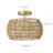 2-lamp Gold Adjustable Industrial Iron Ceiling Light