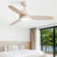 117CM 3-Blade Ceiling Fan with Lights, Remote Control-812991325-812991320