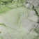 Premium Machine Washable Cerrito AMF520 Green Rug