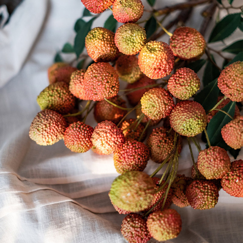 Tige de litchi de fruits artificiels