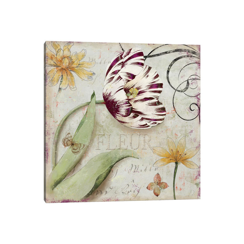 Tulipa I by Aimee Wilson - Wrapped Canvas Print, 45.72 cm H x 45.72 cm W x 3.175 cm D