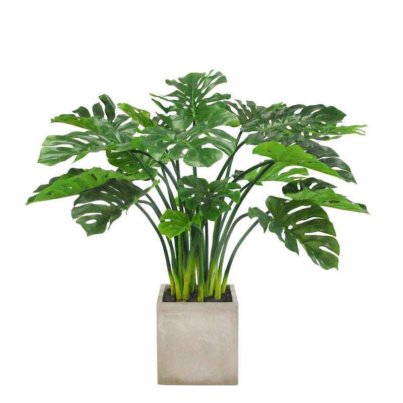 Plant, 44" H x 55" W x 55" D, Taupe