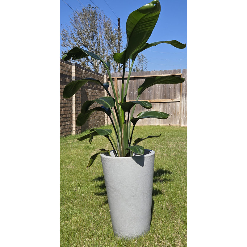 Modena Small, 14" H x 9" W x 9" D, Gray