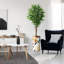 75 plantes-97992049