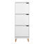 12 Pair Shoe Storage Cabinet