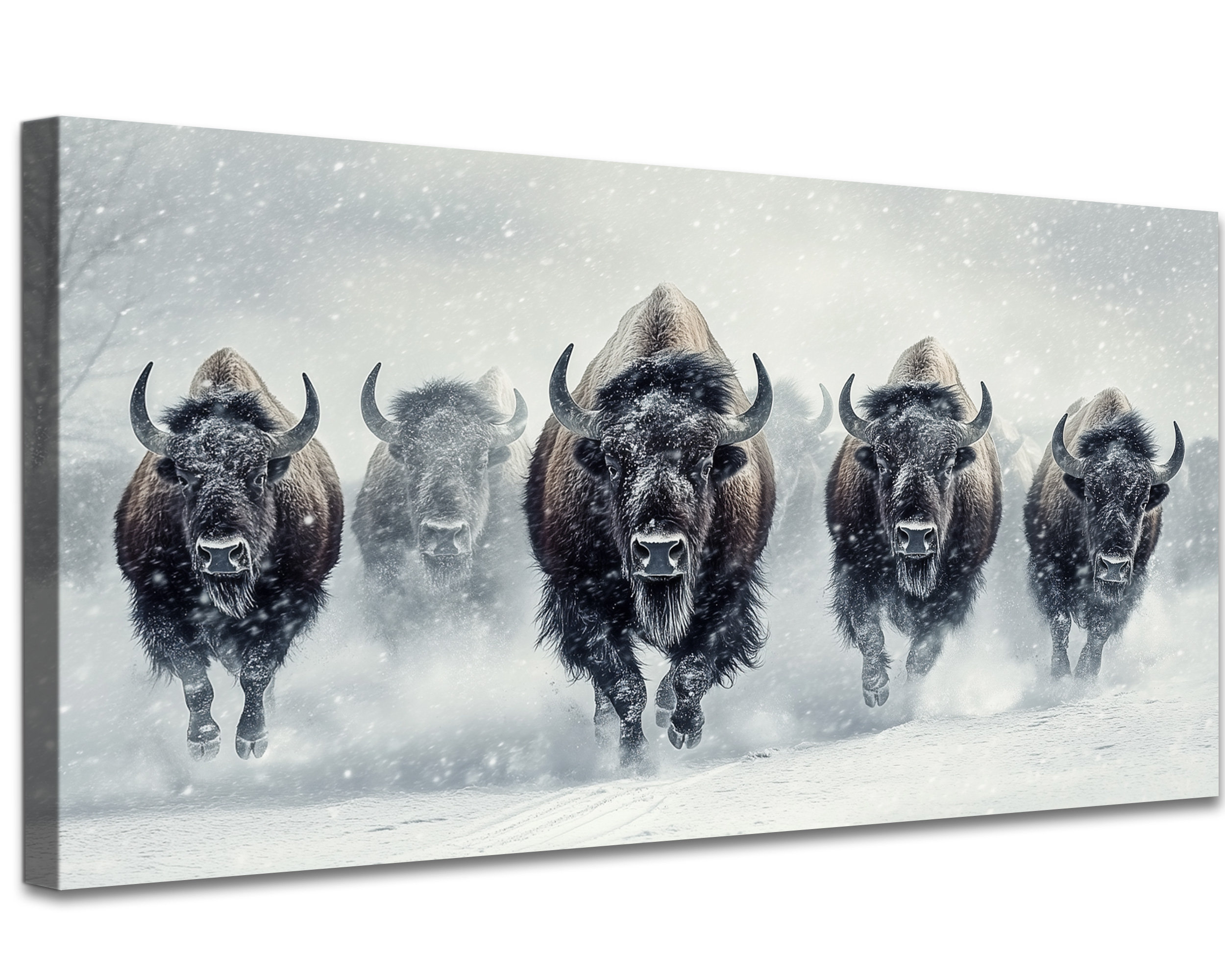 The Holiday Aisle® Large Bison Wall Art - Buffalo Canvas Pictures Wall ...