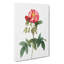Provins Rose In Pink by Pierre-Joseph Redoute - Wrapped Canvas Print-55322637