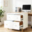 Classeur multifonctionnel, classeur de style nordique