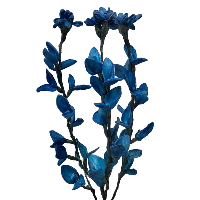 Tiges Texas Bluebonnet (ensemble de 3)