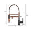 Belfry Kitchen Krokowski Pull Out Kitchen Faucet-102738258
