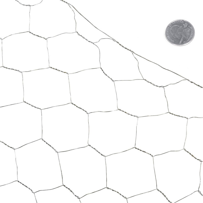 Filet hexagonal de volaille de calibre 20 H 2 pi x l 25 pi avec filet de 2 po, Métallique, 2 pi x 25 pi