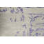 Brookhaven One-of-a-Kind 8'1" X 10'1" Area Rug