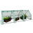 Gulianna Mini Greenhouse