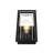 Phung Outdoor Wall Sconce in Black-1618720352