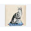 «Lady Cat I», impression sur toile-29283464-74748794-74748789