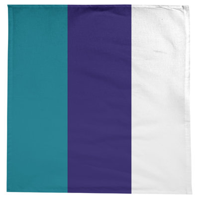 Charlotte Basketball Tablecloth