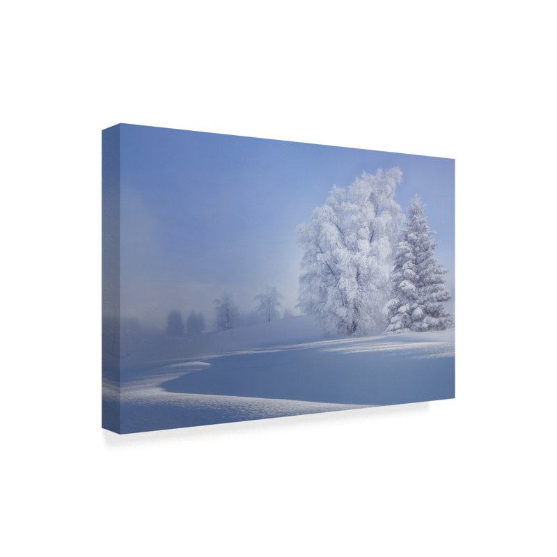 « crispy matin », reproduction de photo sur toile tendue, H 22 po x l 32 po x P 2 po