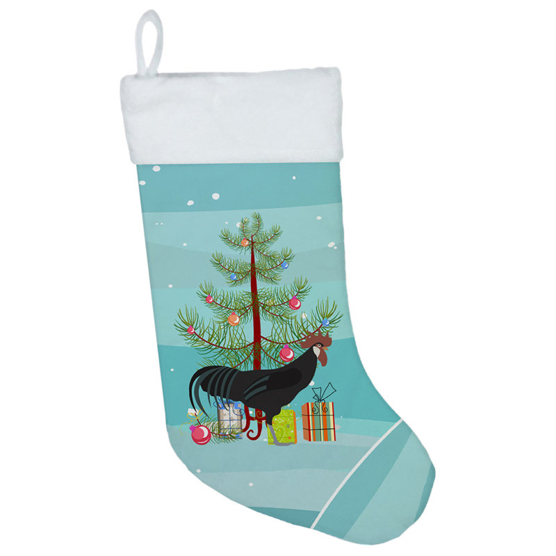 Aedin Minorca Ctalalan Chicken Stocking