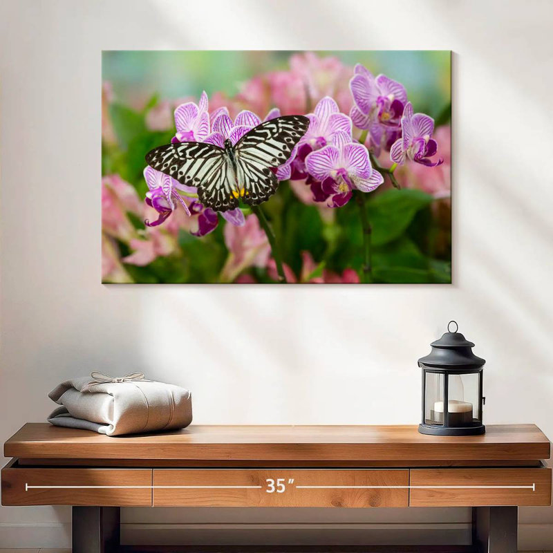 Brampt Malayan Zebra Butterfly, 16'' H x 24'' W