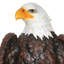 Statue aigle à tête blanche