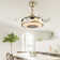 Reinu 38'' Ceiling Fan with LED Lights