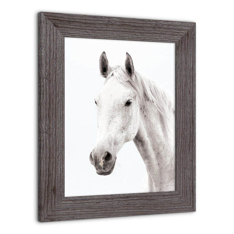 «White Horse», reproduction encadrée, gris, H 14 po x l 11 po x P 0,75 po
