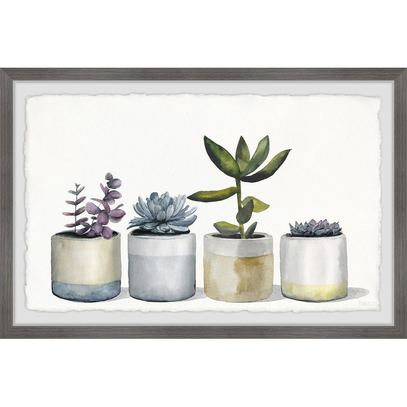Dessert Plants by Parvez Taj - Single Picture Frame Painting, 20cm H x 30cm W