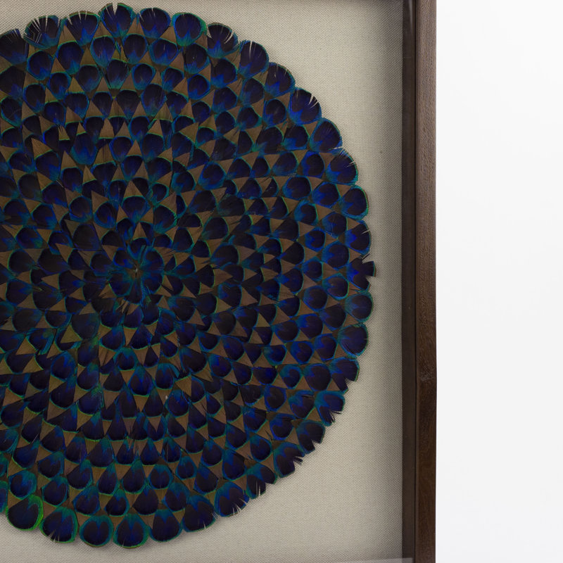 Natural Blue Peacock Feather Framed Wall Art