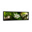 Fougère avec magnolia - Reproduction de photo panoramique non encadrée-19976849-71984487