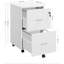 40cm Wide 2 -Drawer Mobile File Cabinet-44572294