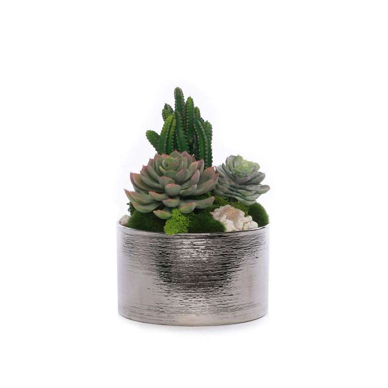 Faux Succulent in Pot