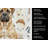 Bullmastiff Coffee Bar Kitchen Towel-1168063359