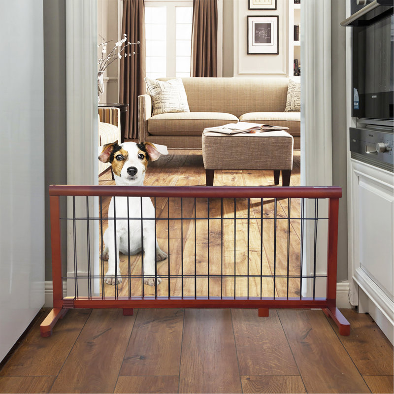Enclos pour chien - GRIS - REINE