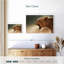 Brampt majestueux lionne-108692901