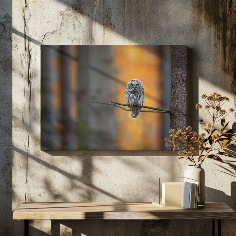 Wrapped Canvas Print, 50.8 cm H x 76.2 cm W