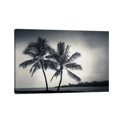 Two Palms by Don Schwartz - Wrapped Canvas Photograph