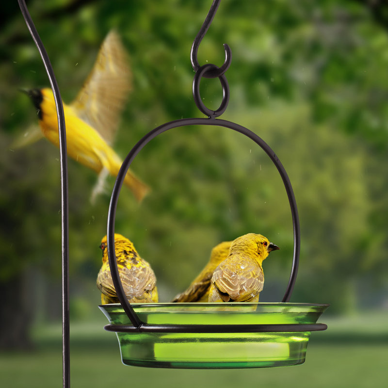 Mangeoire à oiseaux morts sur plateau, Vert lime