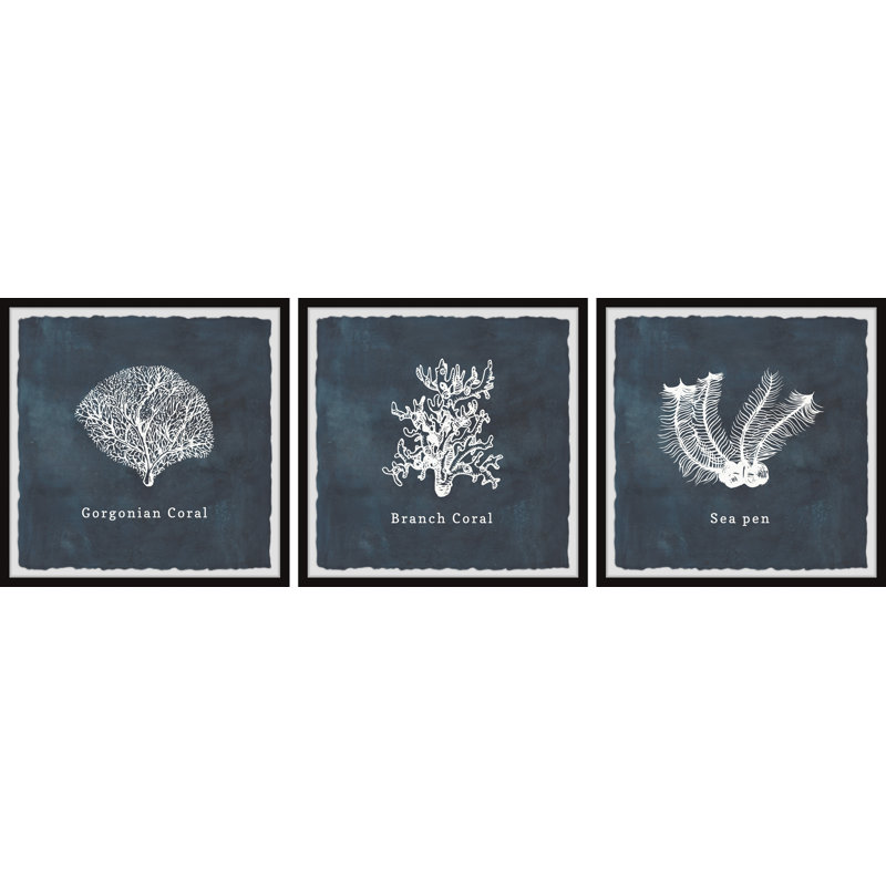 Wadhurst Gorgonian Coral by Marmont Hill - 3 Piece Print Set, 81cm H x 81cm W x 3.81cm D